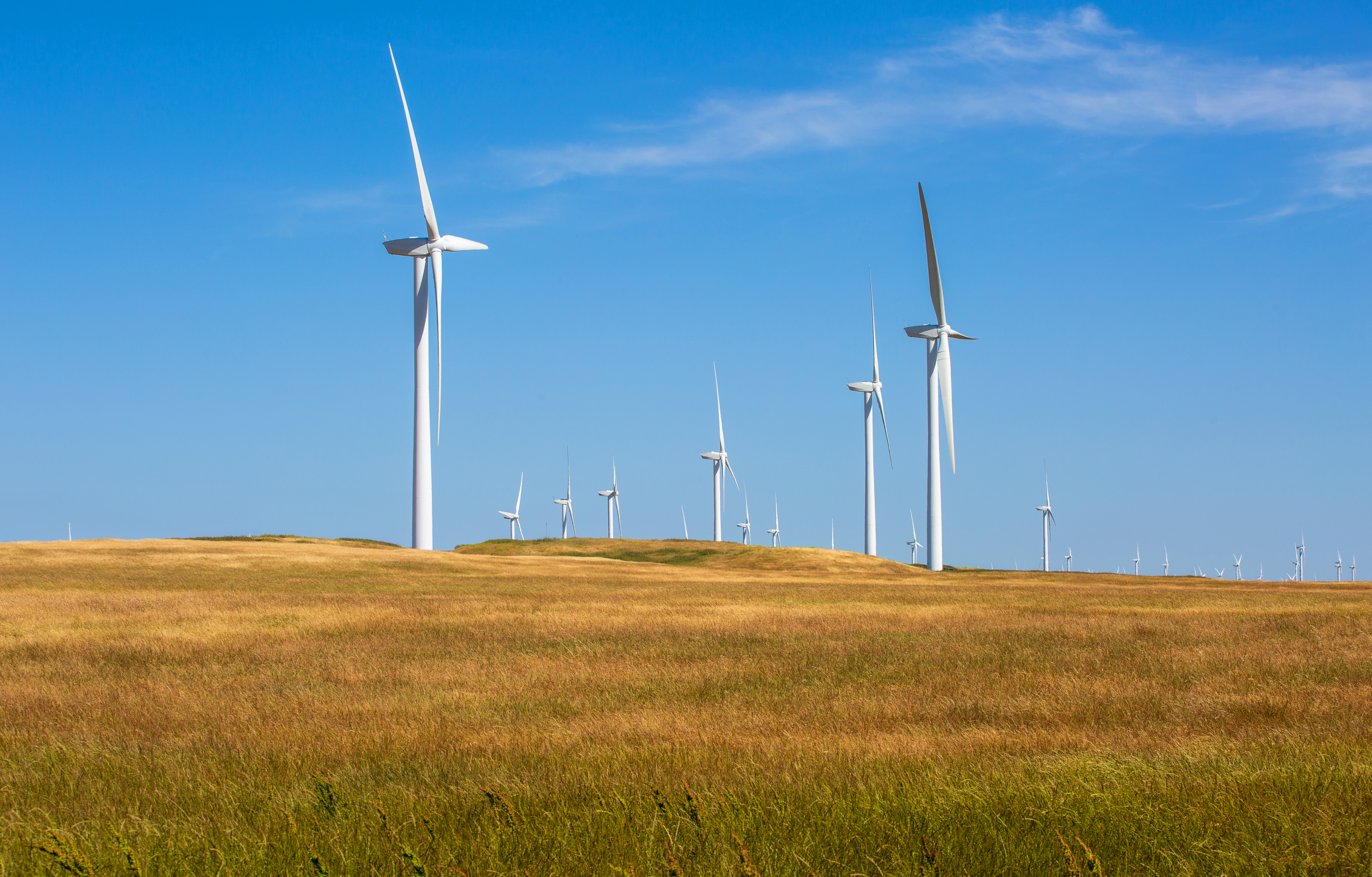 Windmills on the edge of California's Central Valley.